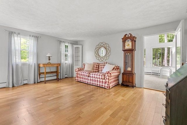 5 Hansen Ave, Burlington, MA 01803 - living room with light wood finished floors and a baseboard heating unit
