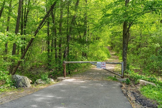 5 Hansen Ave, Burlington, MA 01803 - gate with a wooded view