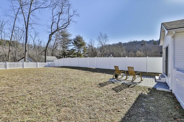 view of yard with a patio area and a fenced backyard