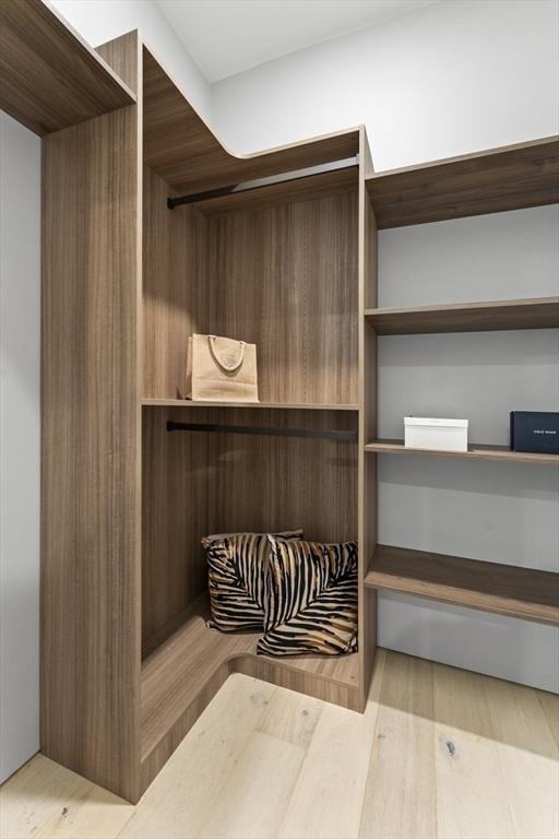 walk in closet featuring light hardwood / wood-style flooring