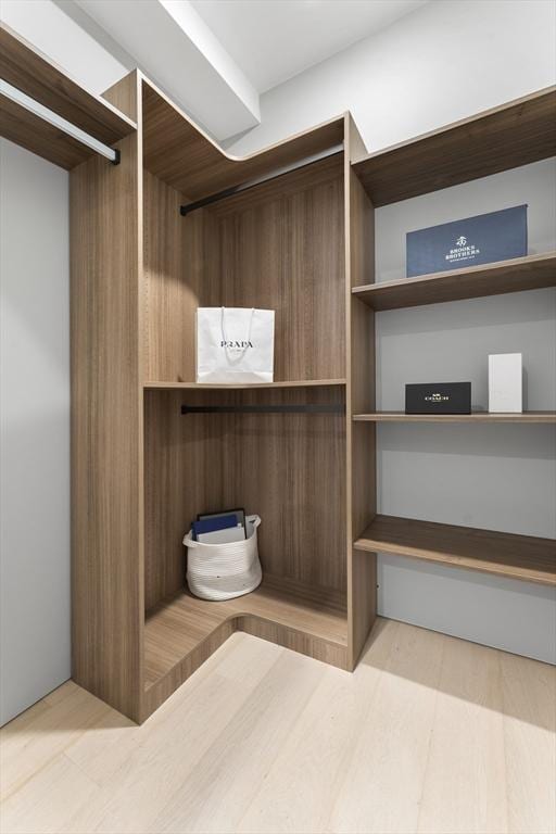 spacious closet featuring wood-type flooring