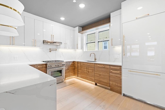 kitchen featuring high end appliances, sink, light hardwood / wood-style flooring, decorative backsplash, and white cabinetry