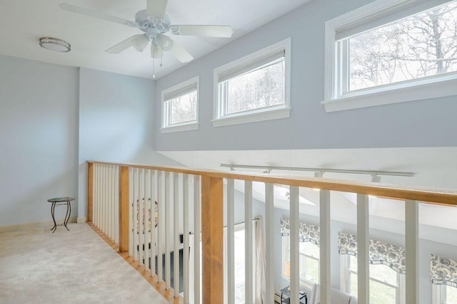 hall featuring carpet floors