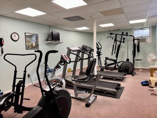 workout area featuring a drop ceiling, baseboards, and carpet flooring