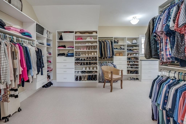 walk in closet with light carpet