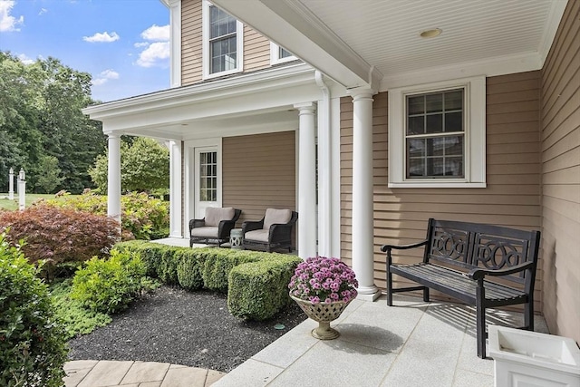 view of patio / terrace with a porch