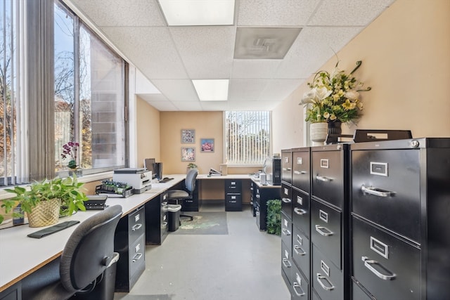 home office featuring a drop ceiling and a healthy amount of sunlight