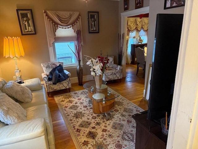 living room with wood-type flooring