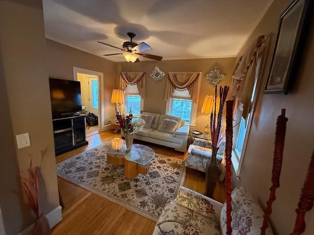 living room featuring crown molding, ceiling fan, and light wood-type flooring