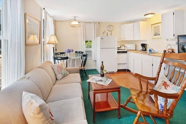 living room featuring hardwood / wood-style flooring and sink