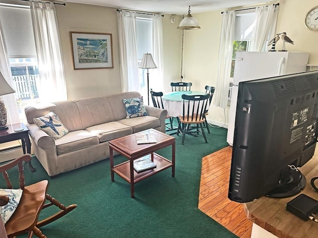 living room featuring carpet flooring