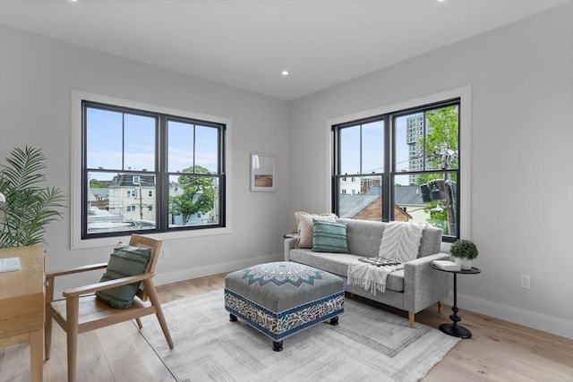 living room featuring wood-type flooring