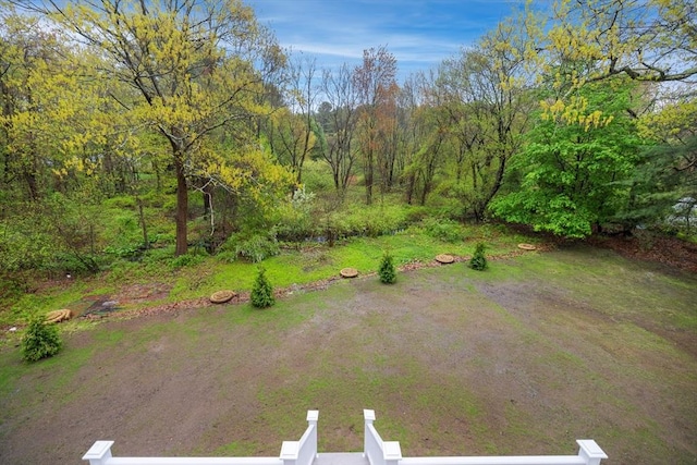 drone / aerial view of a forest