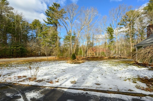 view of snowy yard