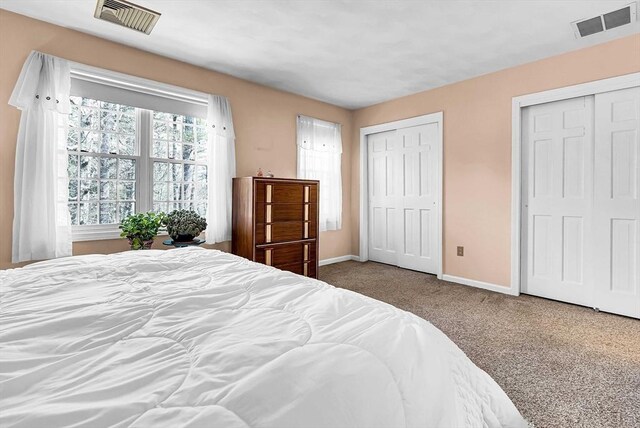 bedroom with two closets, carpet floors, baseboards, and visible vents
