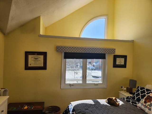 bedroom featuring vaulted ceiling