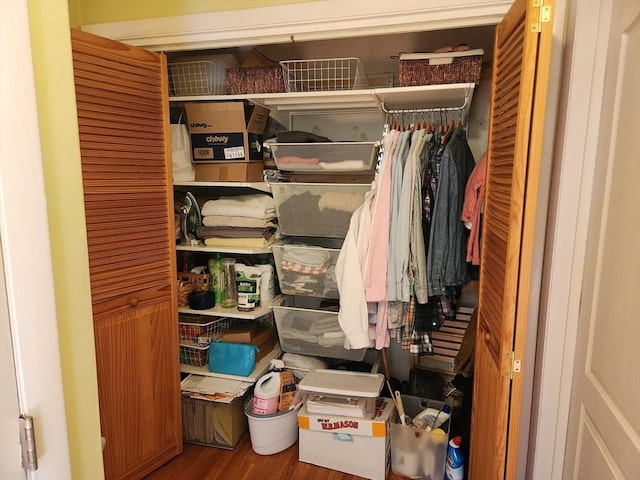 view of closet