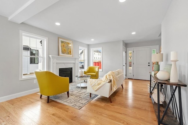 living area featuring a fireplace, light wood-style floors, and plenty of natural light