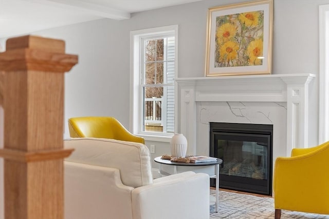 living area featuring beam ceiling and a high end fireplace