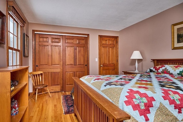 bedroom featuring light hardwood / wood-style floors and two closets