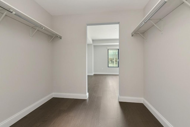 spacious closet featuring dark wood-type flooring