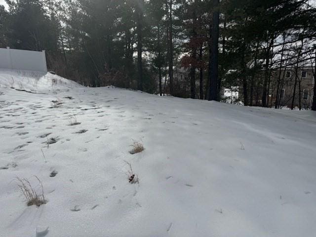 view of yard covered in snow