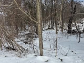 view of snowy landscape