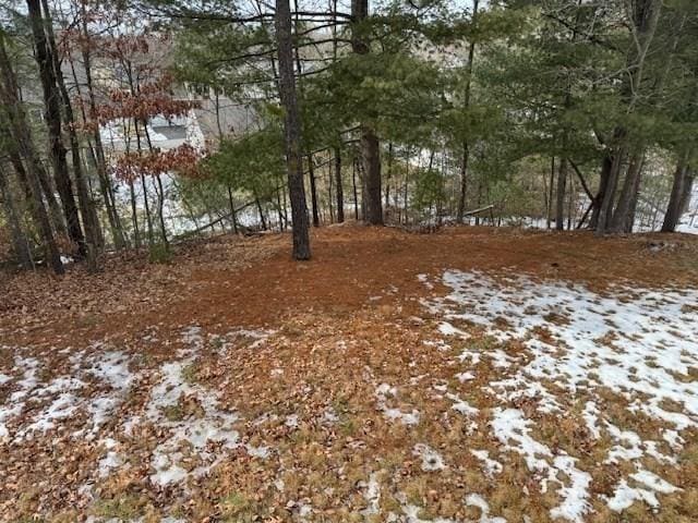 view of snow covered land