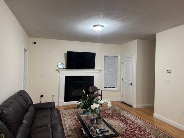 living room with a fireplace, wood finished floors, and baseboards