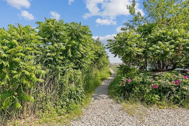 13 Elcott Rd, Quincy, MA 02169 - view of street