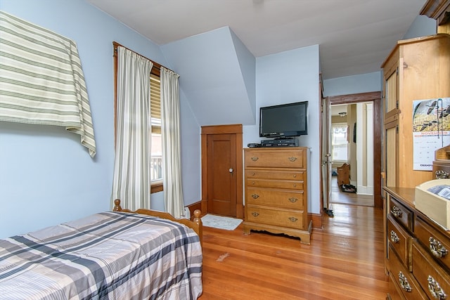 bedroom featuring multiple windows and light hardwood / wood-style flooring