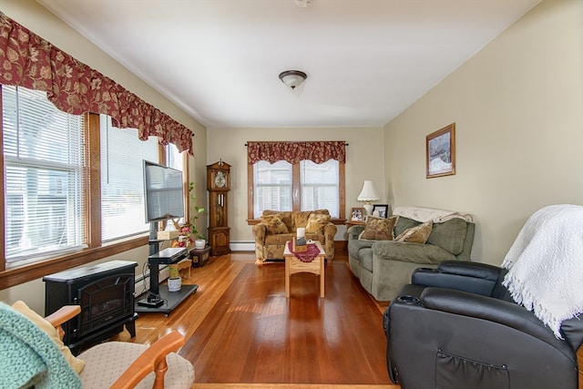 living room featuring a wood stove, a wealth of natural light, and hardwood / wood-style floors