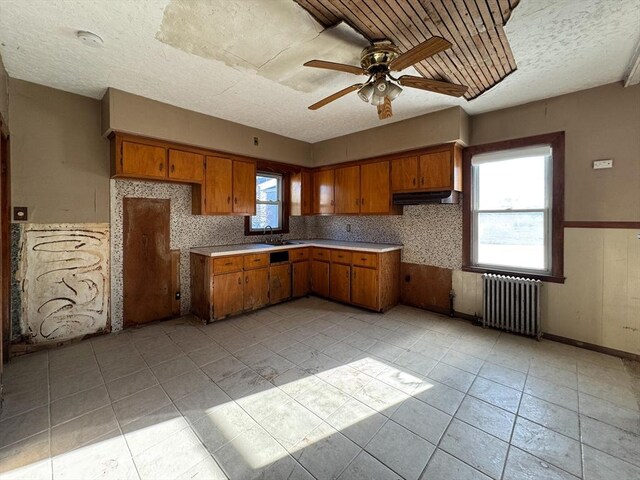 kitchen with ceiling fan, radiator heating unit, sink, and a wealth of natural light