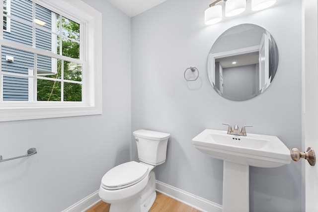 bathroom with a wealth of natural light, hardwood / wood-style flooring, sink, and toilet