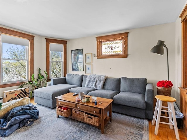 living area featuring plenty of natural light and wood finished floors