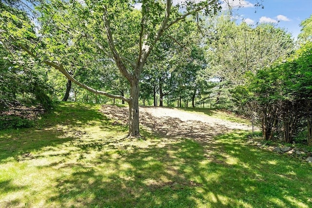 15 Greenbrook Rd, Hamilton, MA 01982 - view of green lawn