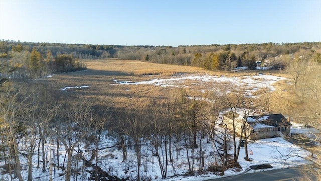 view of snow covered land