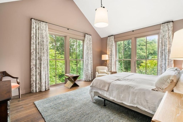 bedroom with multiple windows, wood finished floors, baseboards, and high vaulted ceiling
