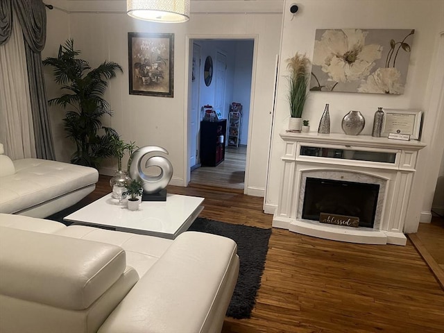 living room featuring dark hardwood / wood-style flooring and a high end fireplace