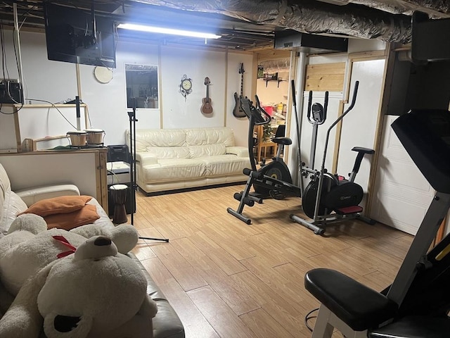 exercise area featuring wood-type flooring