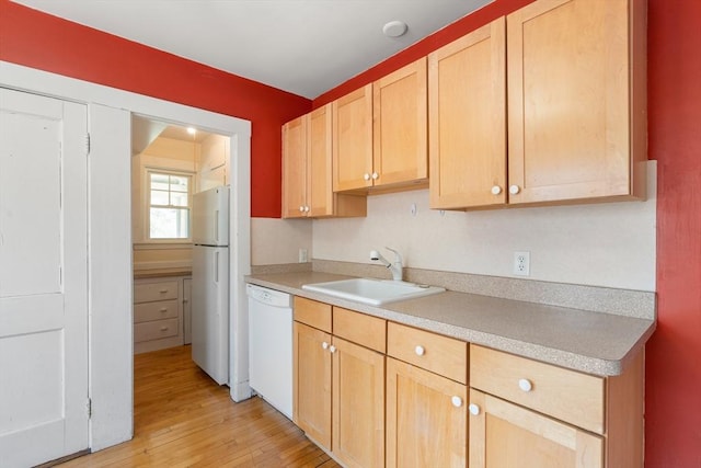 kitchen with a sink, light countertops, light wood finished floors, light brown cabinets, and white appliances
