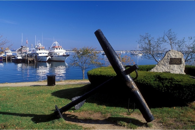 dock area with a water view