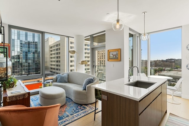 interior space featuring a kitchen island with sink, sink, a wall of windows, and light hardwood / wood-style floors