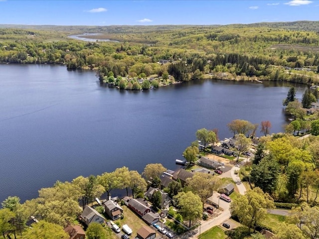 91 Lake Shore Dr, West Brookfield, MA 01585 - bird's eye view of a forest and a large body of water