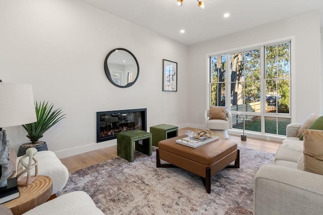 living room with wood-type flooring