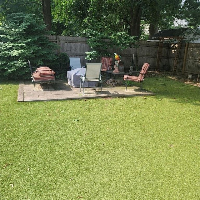 view of yard featuring a patio area