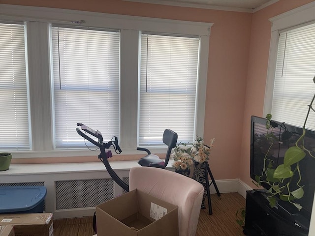 interior space featuring radiator, baseboards, and crown molding