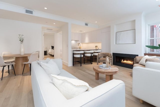 living room with crown molding, light hardwood / wood-style flooring, and sink