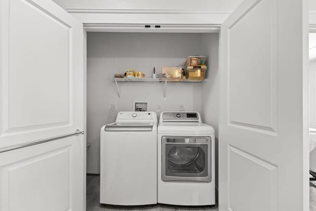 laundry room with hardwood / wood-style flooring and washing machine and clothes dryer