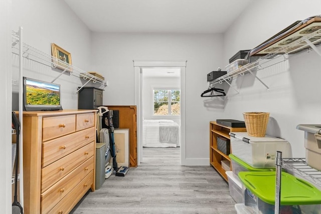 spacious closet featuring light hardwood / wood-style floors